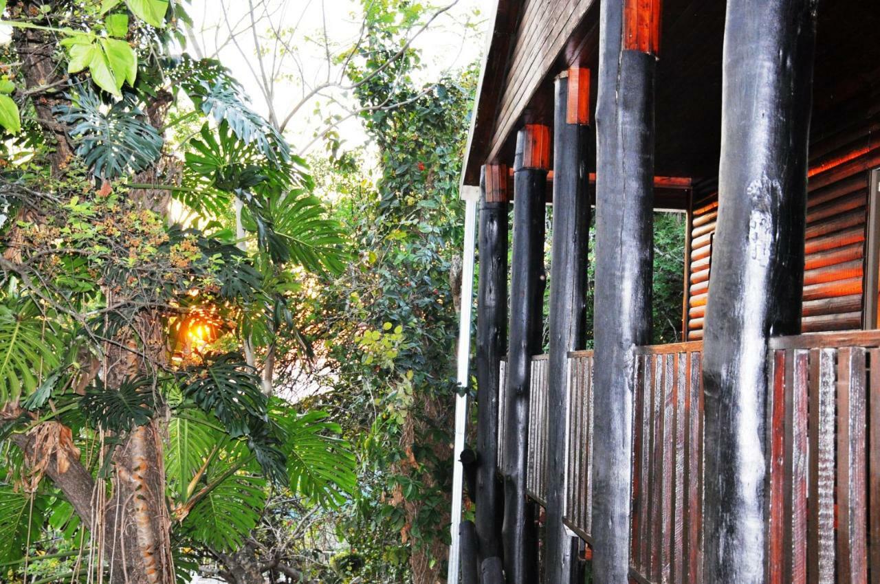 Viewpoint Lodge & Safari Tours Hazyview Kültér fotó